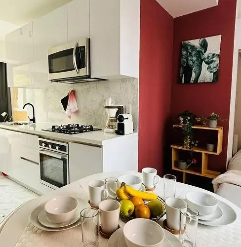 Luxury New Cozy 2 Bed In The Heart Of Roma Mexico City